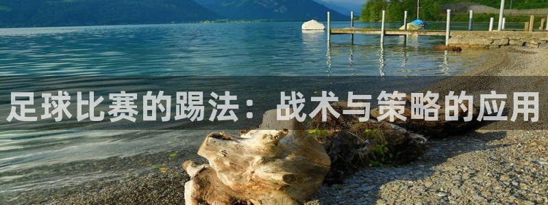 足球比赛的踢法：战术与策略的应用